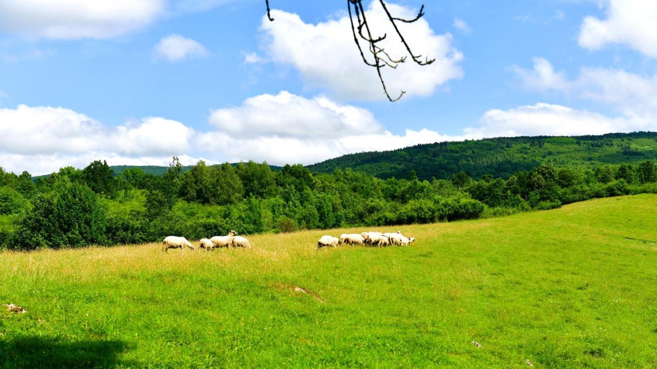 Natura Hause Rakovica Exterior photo